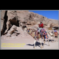 17974 12 090 Petra Jordanien 2011.jpg